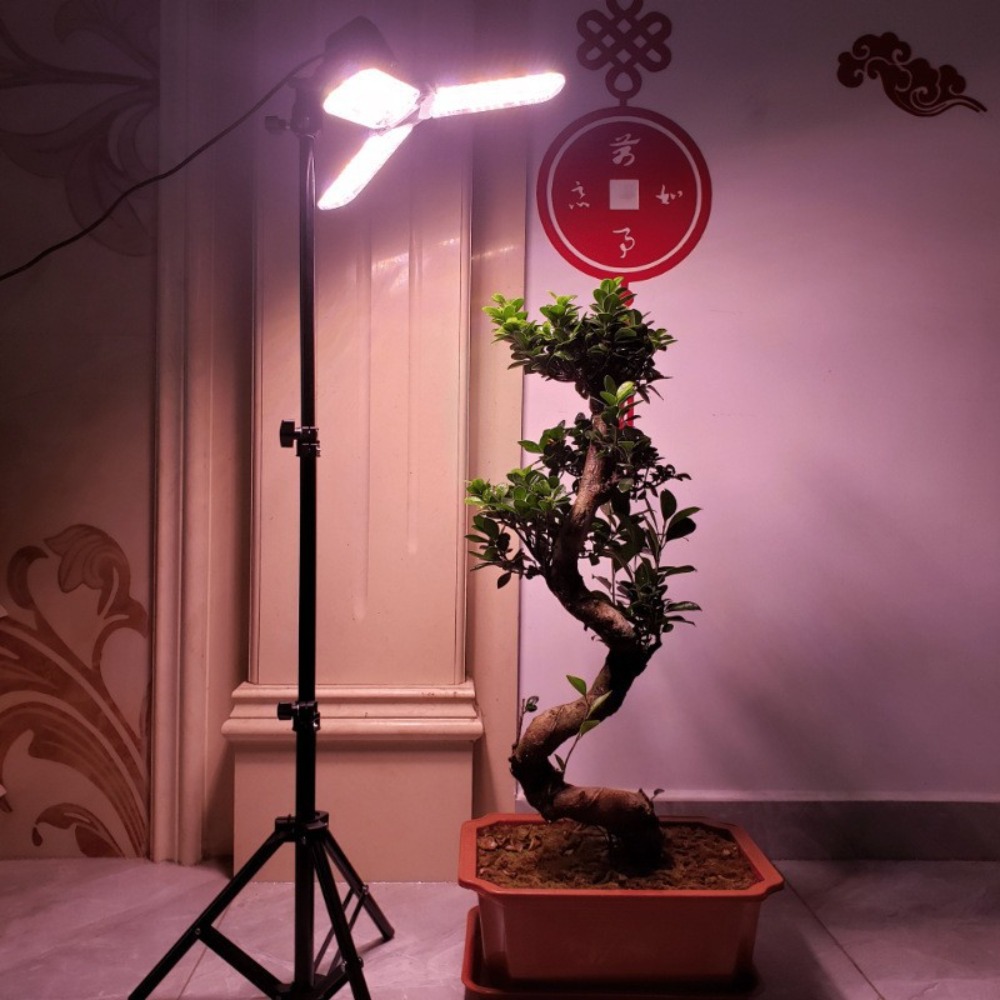 Подставка для лампочки 2 м, цо – обзор и цена Photography Umbrella Lights